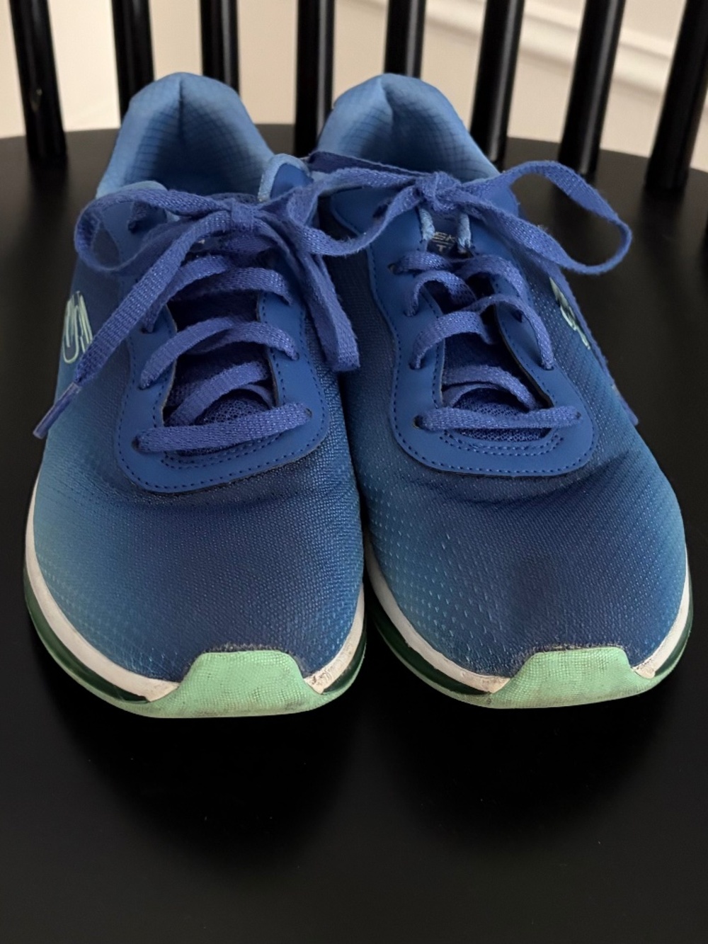Skecher Gym shoes